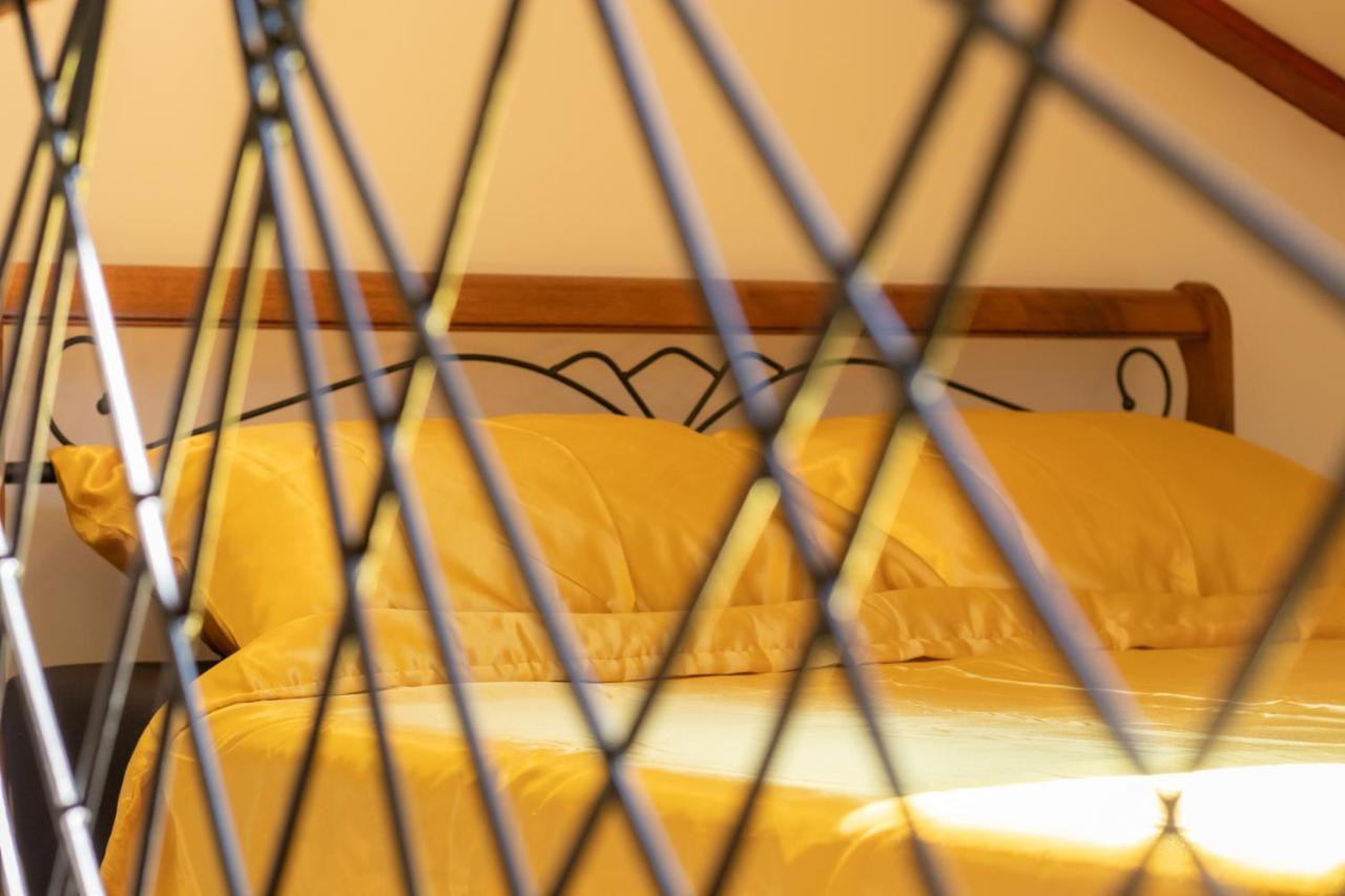 Apartment Gazic Zadar Dış mekan fotoğraf